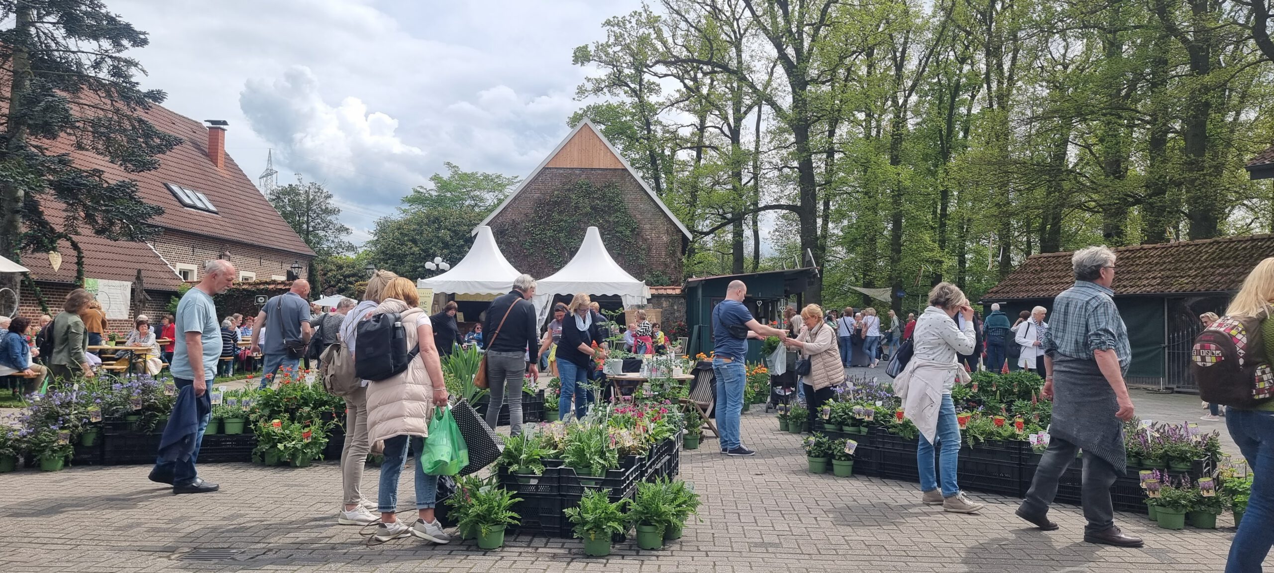 Velener Waldgartenmarkt (1)